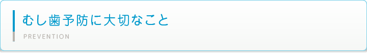 むし歯予防に大切なこと