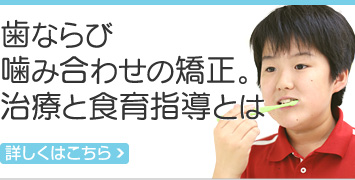 歯ならび噛み合わせの矯正。治療と食育指導とは